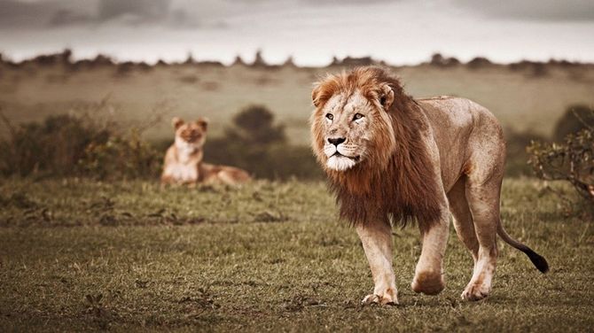 o_afrika1